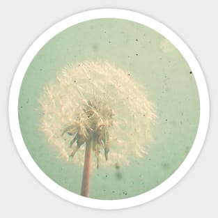 Dandelion Clock Sticker